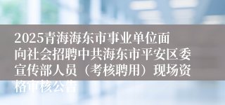 2025青海海东市事业单位面向社会招聘中共海东市平安区委宣传部人员（考核聘用）现场资格审核公告