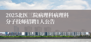 2025北医三院病理科病理科分子技师招聘1人公告