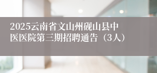 2025云南省文山州砚山县中医医院第三期招聘通告（3人）