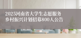 2025河南省大学生志愿服务乡村振兴计划招募800人公告
