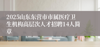 2025山东东营市市属医疗卫生机构高层次人才招聘14人简章
