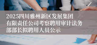 2025四川雅州新区发展集团有限责任公司考察聘用审计法务部部长拟聘用人员公示
