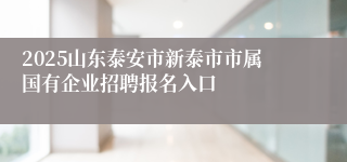 2025山东泰安市新泰市市属国有企业招聘报名入口
