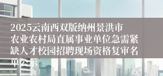 2025云南西双版纳州景洪市农业农村局直属事业单位急需紧缺人才校园招聘现场资格复审名单公示