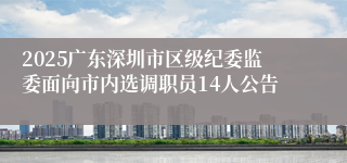 2025广东深圳市区级纪委监委面向市内选调职员14人公告