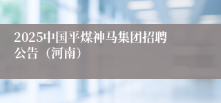 2025中国平煤神马集团招聘公告（河南）