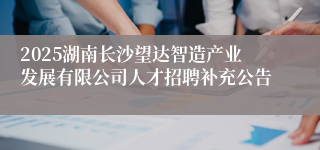 2025湖南长沙望达智造产业发展有限公司人才招聘补充公告