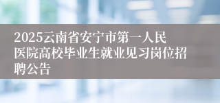 2025云南省安宁市第一人民医院高校毕业生就业见习岗位招聘公告