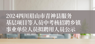 2024四川眉山市青神县服务基层项目等人员中考核招聘乡镇事业单位人员拟聘用人员公示