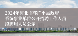 2024年河北邯郸广平县政府系统事业单位公开招聘工作人员拟聘用人员公示