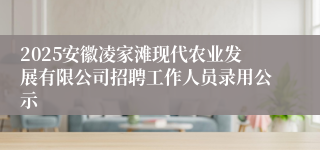 2025安徽凌家滩现代农业发展有限公司招聘工作人员录用公示