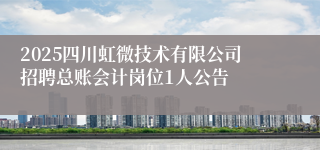 2025四川虹微技术有限公司招聘总账会计岗位1人公告