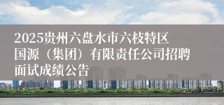 2025贵州六盘水市六枝特区国源（集团）有限责任公司招聘面试成绩公告