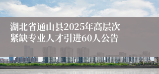 湖北省通山县2025年高层次紧缺专业人才引进60人公告