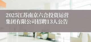 2025江苏南京六合投资运营集团有限公司招聘13人公告