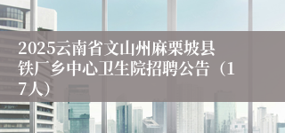 2025云南省文山州麻栗坡县铁厂乡中心卫生院招聘公告（17人）