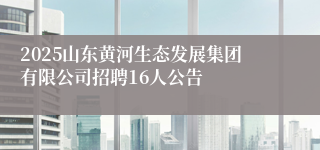 2025山东黄河生态发展集团有限公司招聘16人公告