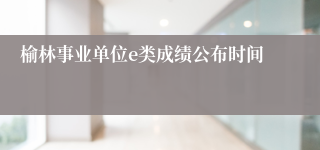 榆林事业单位e类成绩公布时间