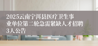 2025云南宁洱县医疗卫生事业单位第二轮急需紧缺人才招聘3人公告