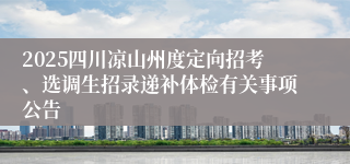 2025四川凉山州度定向招考、选调生招录递补体检有关事项公告