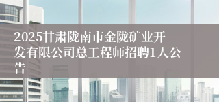 2025甘肃陇南市金陇矿业开发有限公司总工程师招聘1人公告