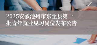 2025安徽池州市东至县第一批青年就业见习岗位发布公告