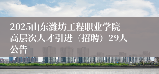 2025山东潍坊工程职业学院高层次人才引进（招聘）29人公告