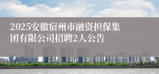 2025安徽宿州市融资担保集团有限公司招聘2人公告