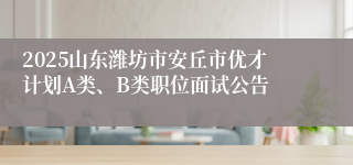 2025山东潍坊市安丘市优才计划A类、B类职位面试公告
