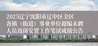 2025辽宁沈阳市辽中区全区各镇（街道）事业单位超编未聘人员返岗安置工作笔试成绩公告