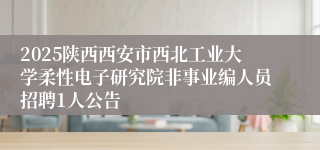 2025陕西西安市西北工业大学柔性电子研究院非事业编人员招聘1人公告