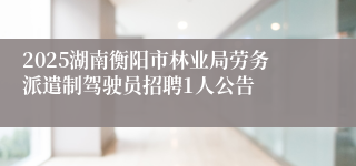 2025湖南衡阳市林业局劳务派遣制驾驶员招聘1人公告