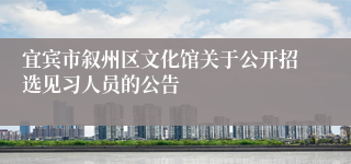 宜宾市叙州区文化馆关于公开招选见习人员的公告