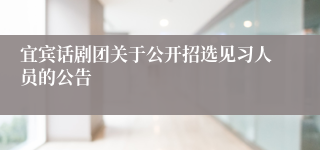宜宾话剧团关于公开招选见习人员的公告