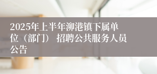2025年上半年泖港镇下属单位（部门） 招聘公共服务人员公告