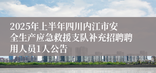 2025年上半年四川内江市安全生产应急救援支队补充招聘聘用人员1人公告
