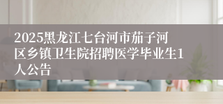 2025黑龙江七台河市茄子河区乡镇卫生院招聘医学毕业生1人公告