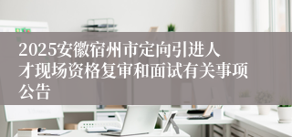 2025安徽宿州市定向引进人才现场资格复审和面试有关事项公告
