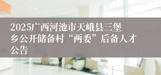 2025广西河池市天峨县三堡乡公开储备村“两委”后备人才公告