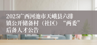 2025广西河池市天峨县六排镇公开储备村（社区）“两委”后备人才公告