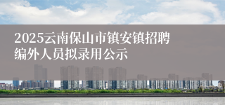 2025云南保山市镇安镇招聘编外人员拟录用公示