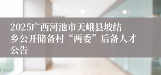 2025广西河池市天峨县坡结乡公开储备村“两委”后备人才公告