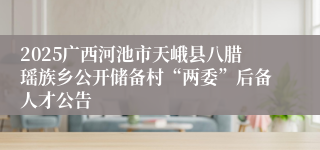 2025广西河池市天峨县八腊瑶族乡公开储备村“两委”后备人才公告