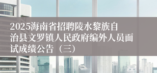2025海南省招聘陵水黎族自治县文罗镇人民政府编外人员面试成绩公告（三）