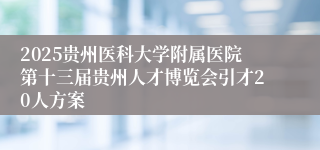 2025贵州医科大学附属医院第十三届贵州人才博览会引才20人方案