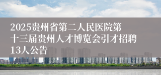 2025贵州省第二人民医院第十三届贵州人才博览会引才招聘13人公告