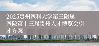 2025贵州医科大学第三附属医院第十三届贵州人才博览会引才方案
