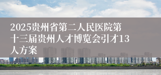 2025贵州省第二人民医院第十三届贵州人才博览会引才13人方案