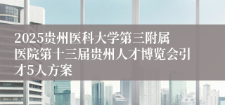 2025贵州医科大学第三附属医院第十三届贵州人才博览会引才5人方案