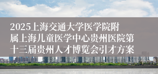 2025上海交通大学医学院附属上海儿童医学中心贵州医院第十三届贵州人才博览会引才方案